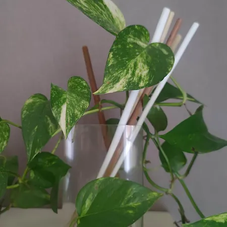 Dalla Spiaggetta A Quinto Γένοβα