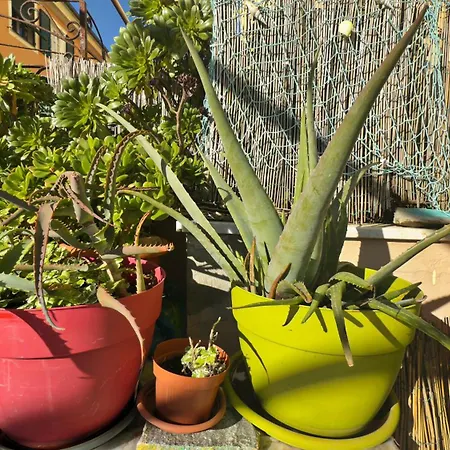 Dalla Spiaggetta A Quinto * Γένοβα