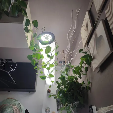 Dalla Spiaggetta A Quinto Διαμέρισμα Γένοβα