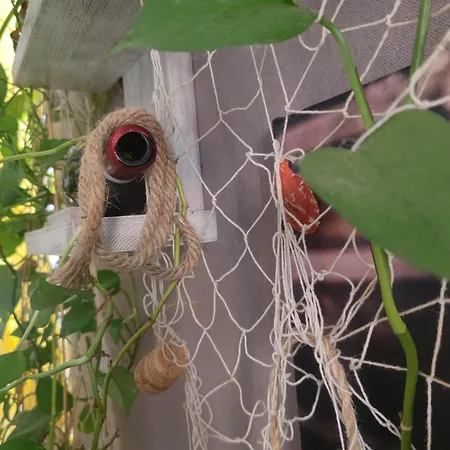 Appartement Dalla Spiaggetta A Quinto *