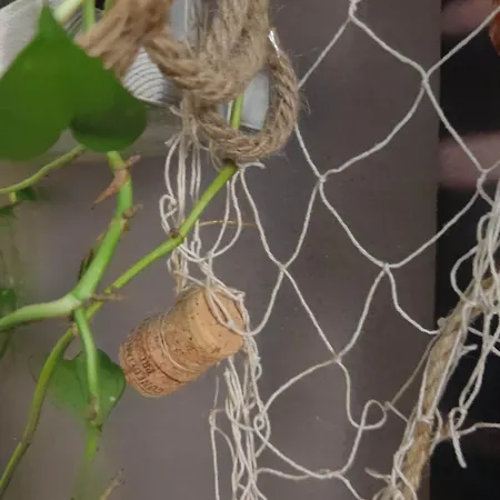 Dalla Spiaggetta A Quinto *