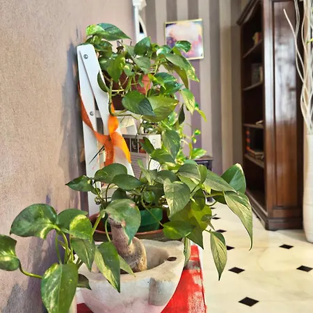 Apartment Dalla Spiaggetta A Quinto *