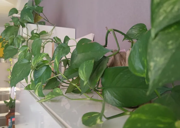 Dalla Spiaggetta A Quinto *