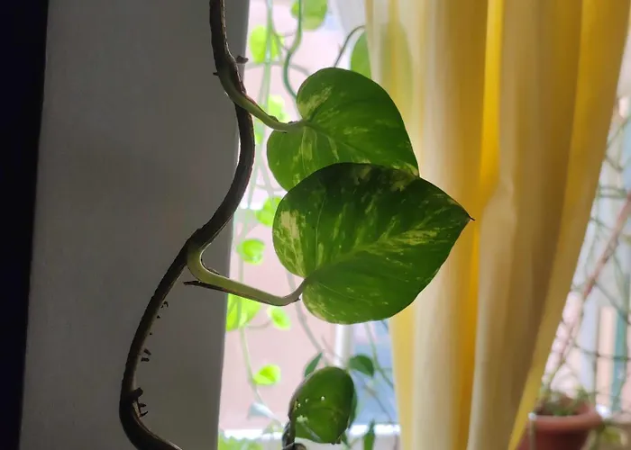 Dalla Spiaggetta A Quinto