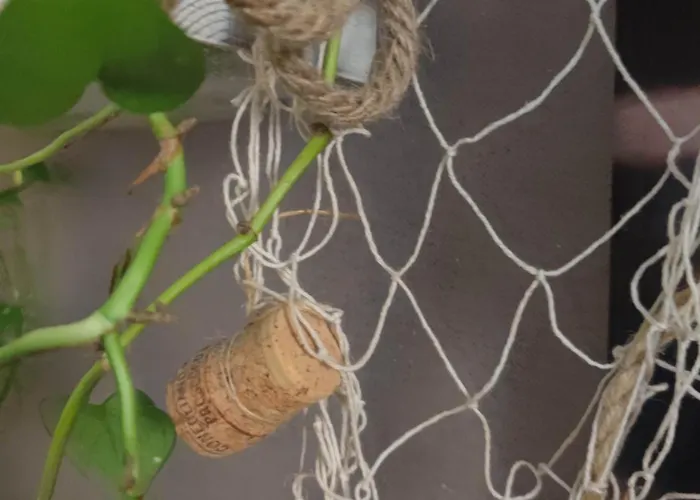 Dalla Spiaggetta A Quinto *