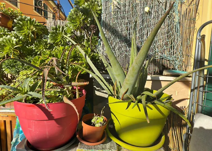 Dalla Spiaggetta A Quinto * Genova