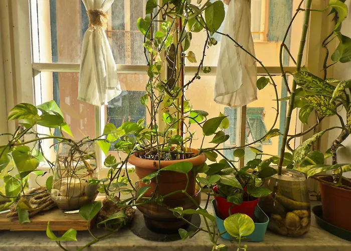 Dalla Spiaggetta A Quinto *