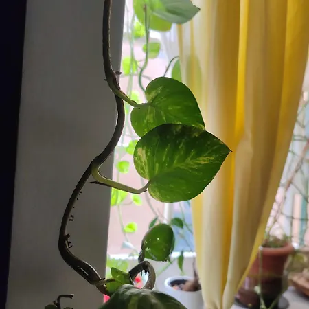 Dalla Spiaggetta A Quinto