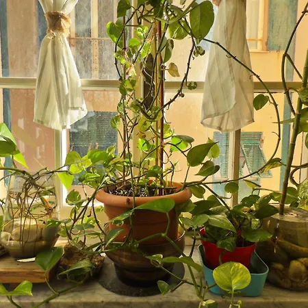 Dalla Spiaggetta A Quinto *